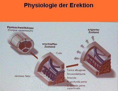erek006